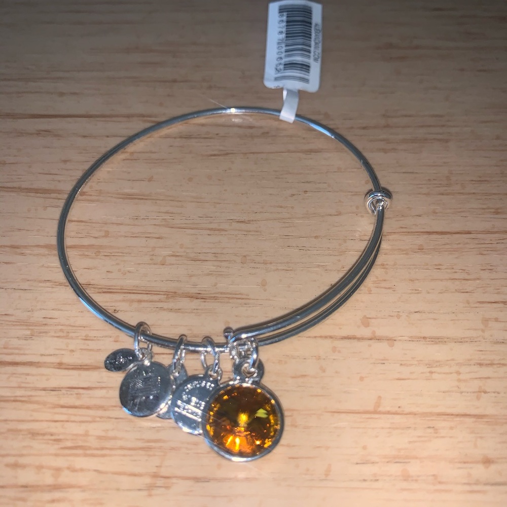 ALEX & ANI BRACELET